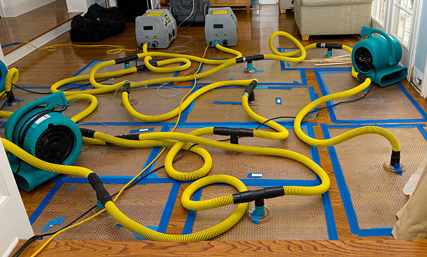 Professional Water Damage Repair technician working in Pine Mountain Club, CA